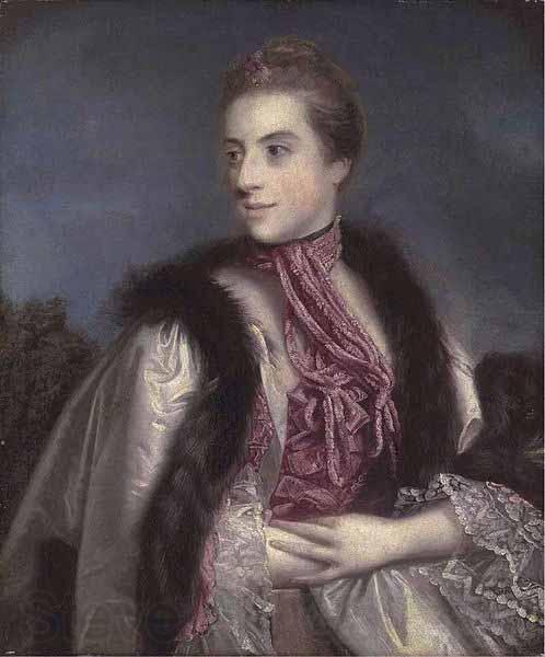 Sir Joshua Reynolds Elizabeth Drax, Countess of Berkeley